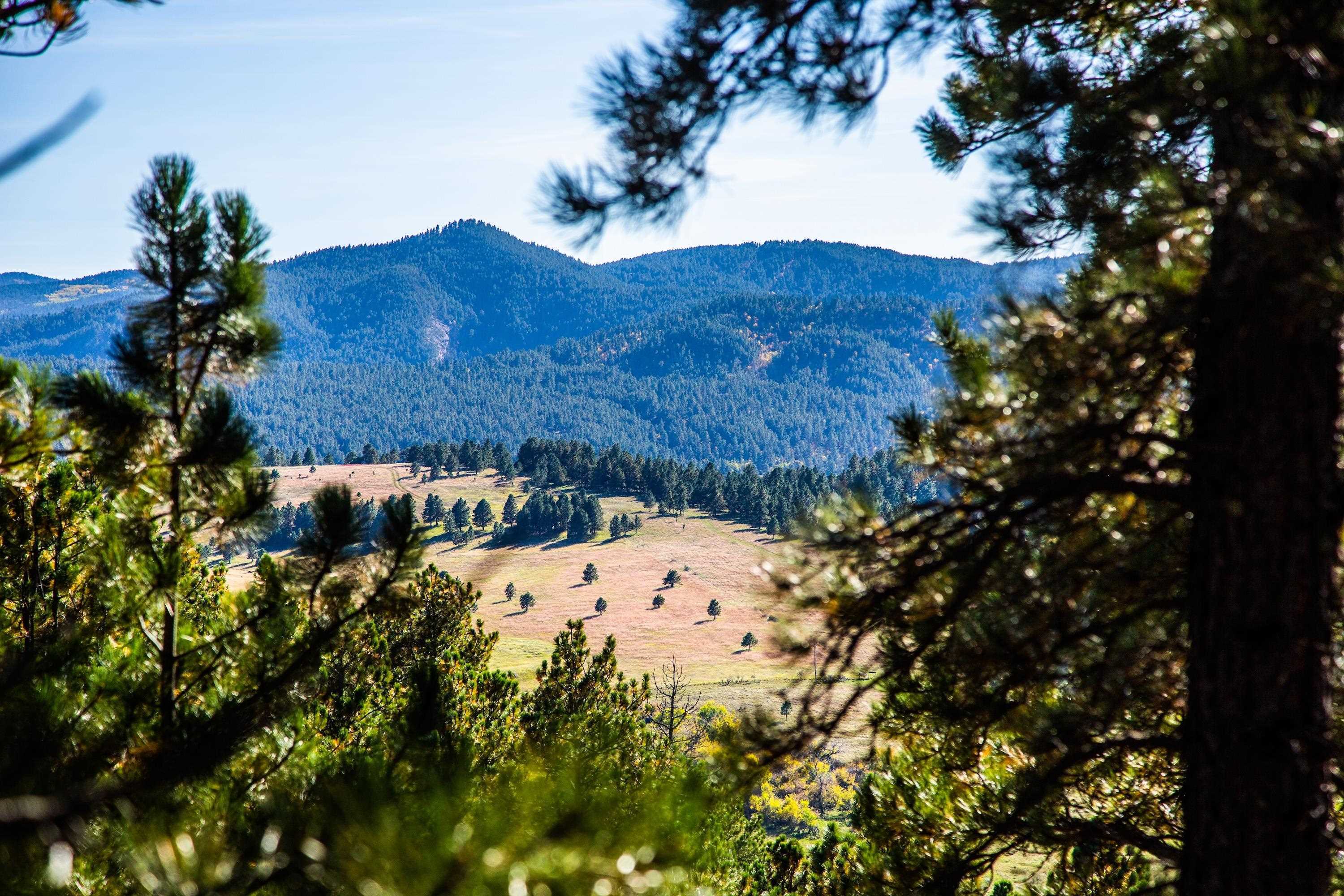 Property Photo:  Lot 3 Three Peaks Pass  SD 57793 