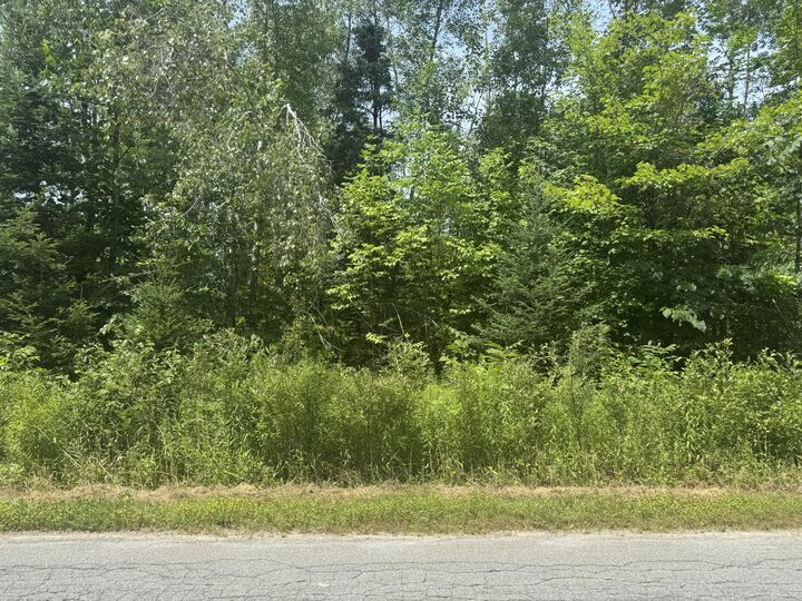 Property Photo: 00 Allen Bridge Road ME 04932