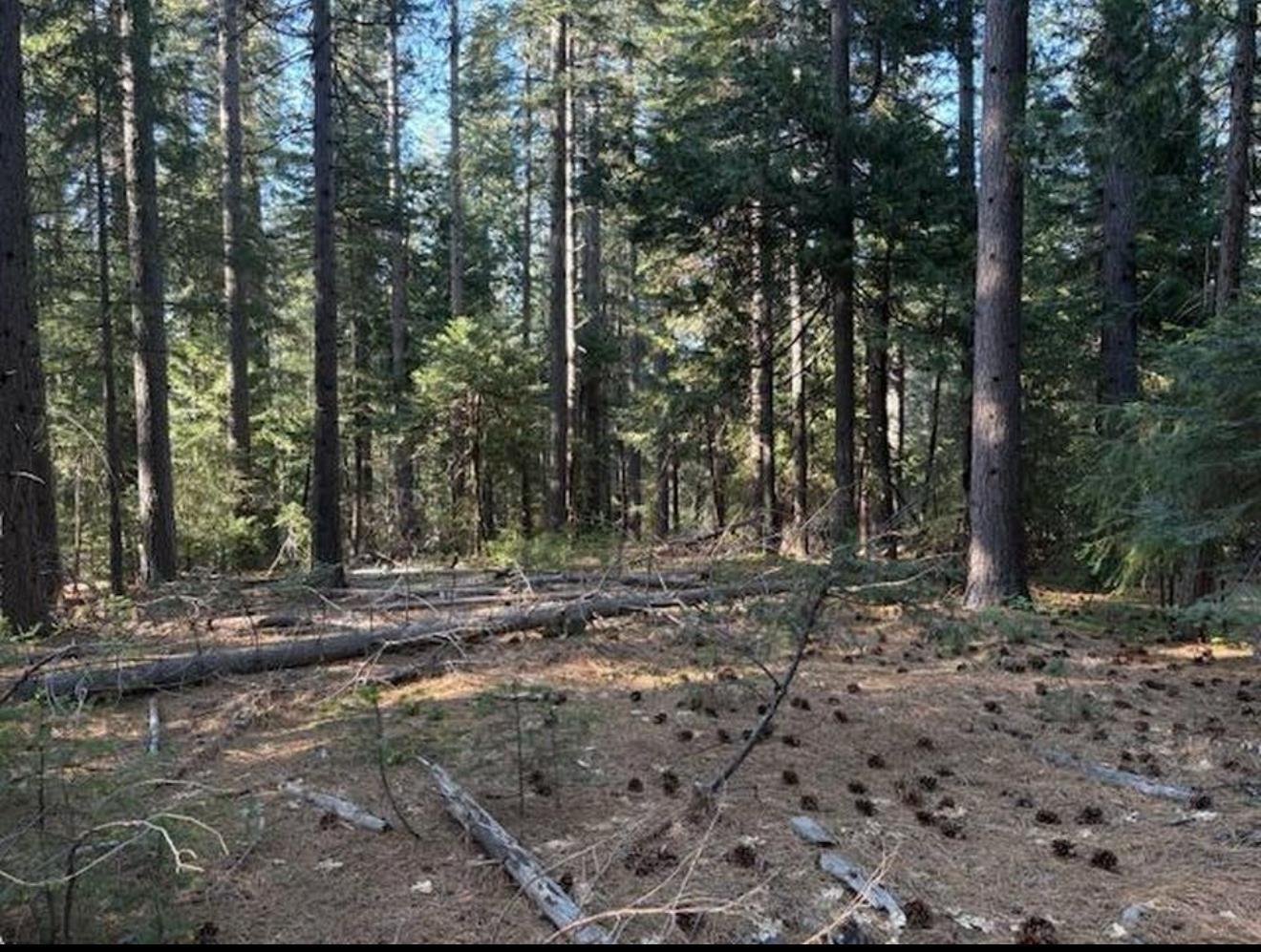 Property Photo: 30115 N Bloomfield-Graniteville Road CA 95959