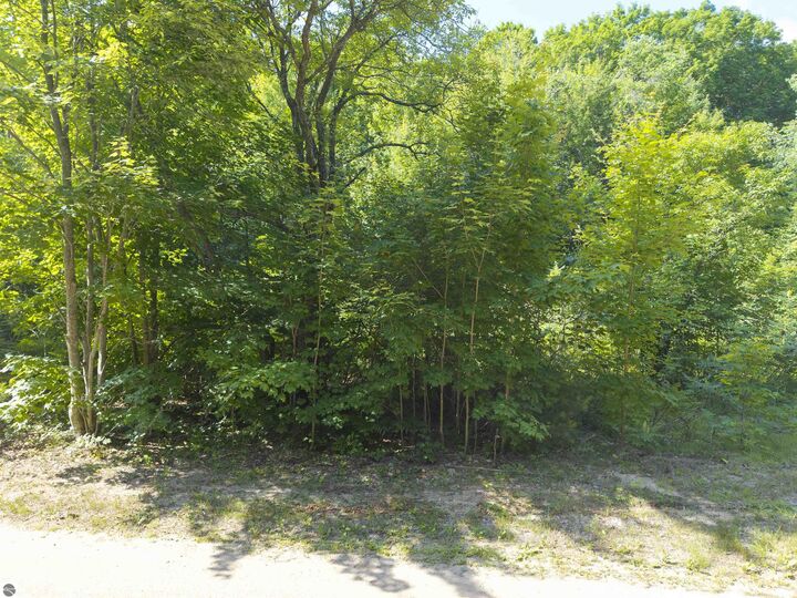 Property Photo: 13-B Plainfield Trail MI 49730