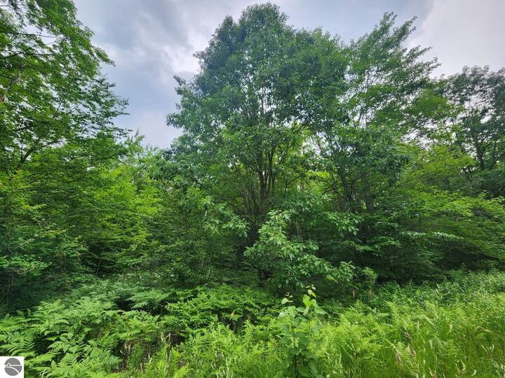 Property Photo: Tbd Snowridge Trail MI 49730