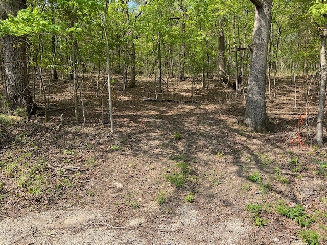 Property Photo:  33 Venus Avenue  AR 72631 