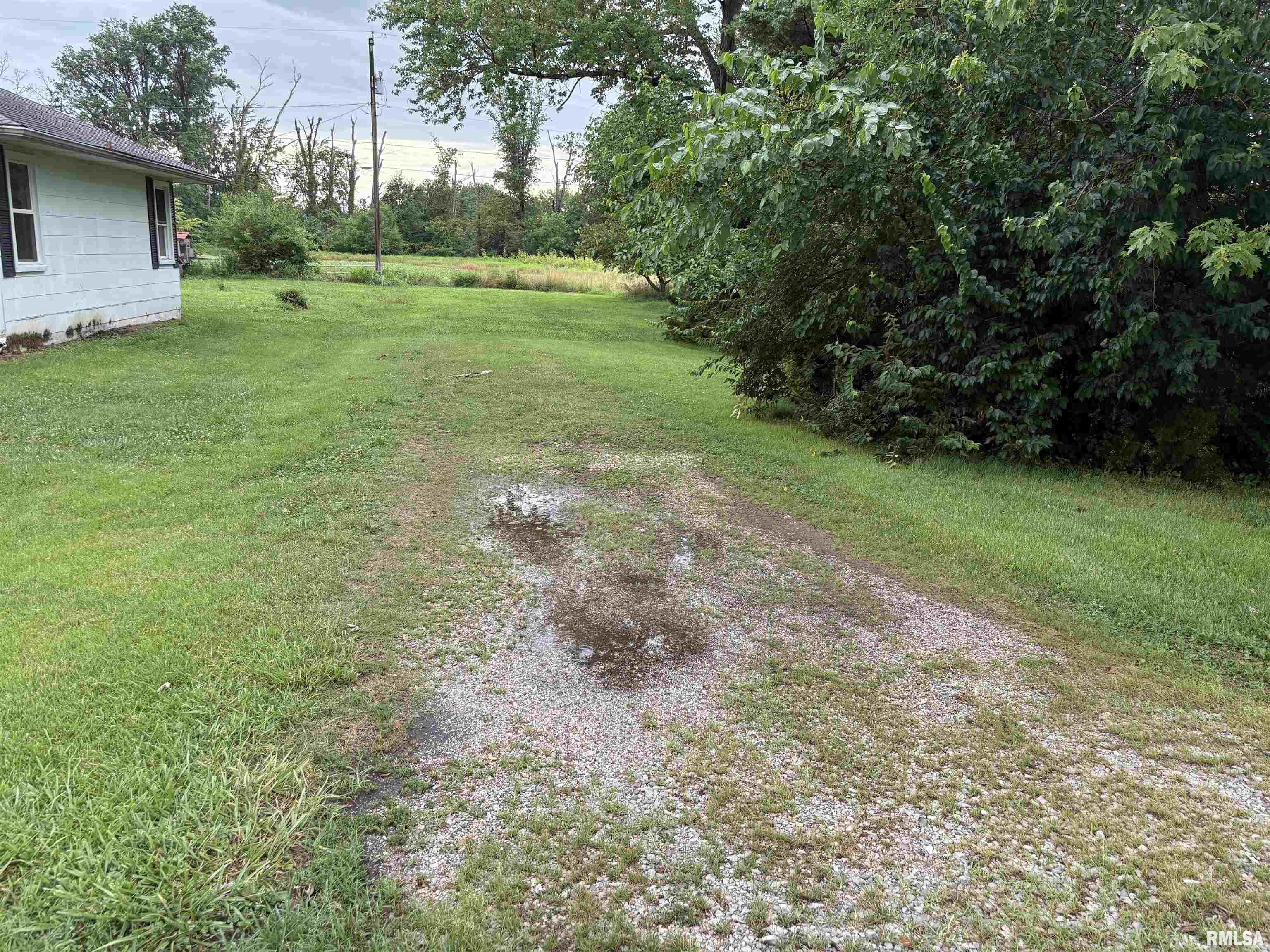 Property Photo: 00 N Randolph Drive IL 62801