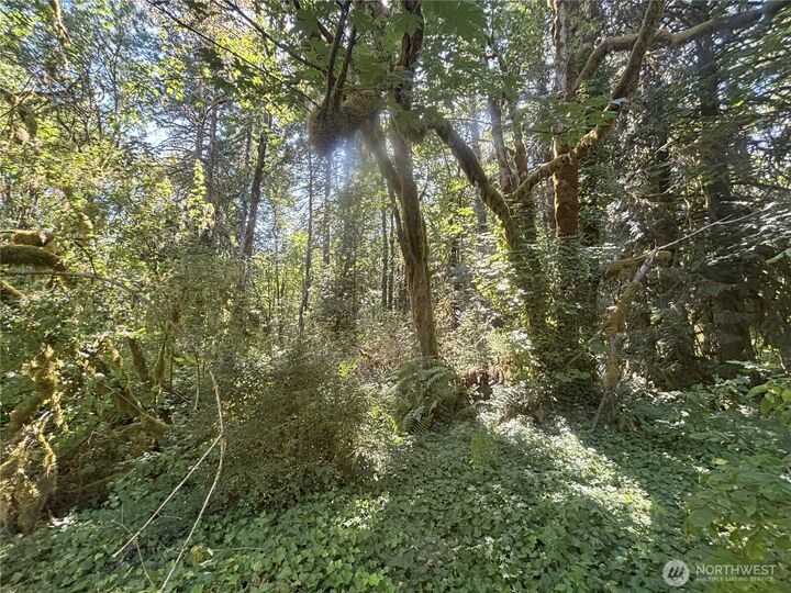 Property Photo: 0 Hill Creek Road WA 98611