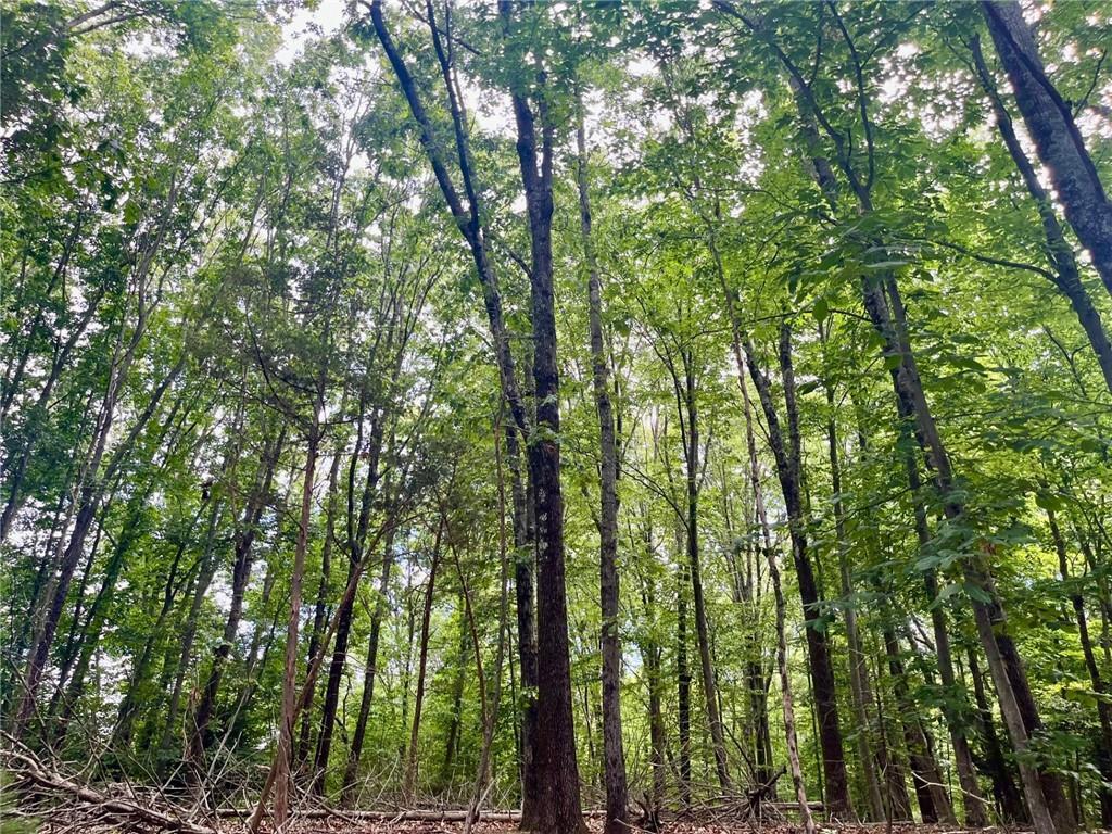 Property Photo: 3307 Diamond Hill Road RI 02864