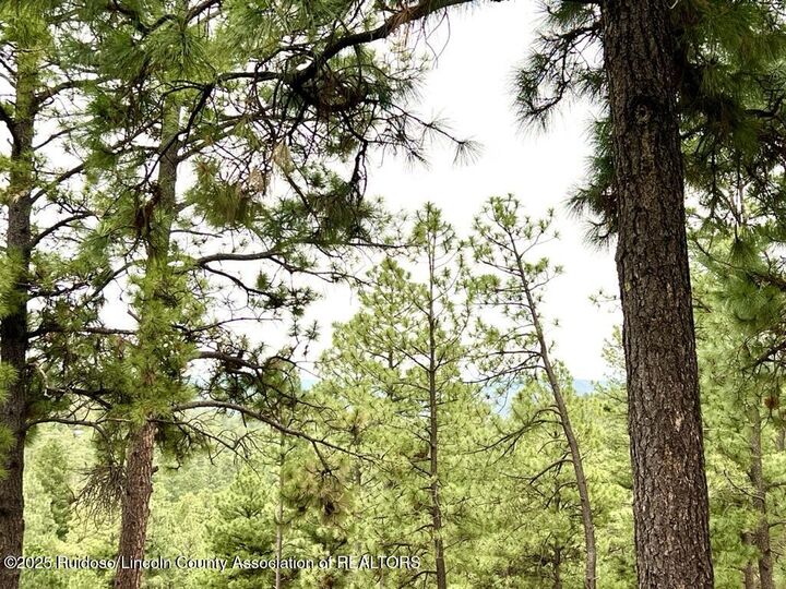 Property Photo:  122 Maple Drive  NM 88345 