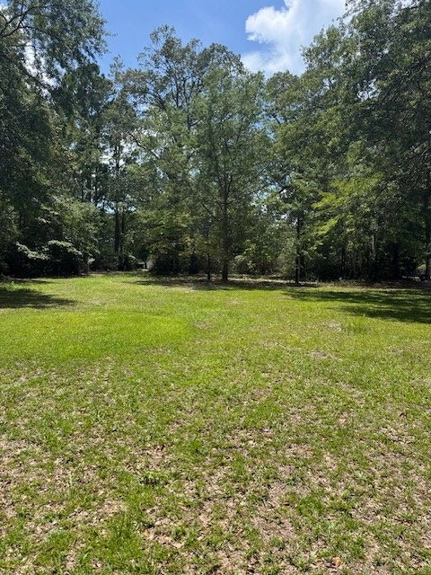 Property Photo: Rutledge Drive SC 29048