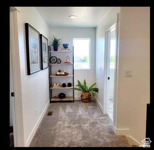 Property Photo: 2362 W 1620 S C UT 84075
