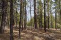 695 N Debonair Dr  Duck Creek UT 84762 photo