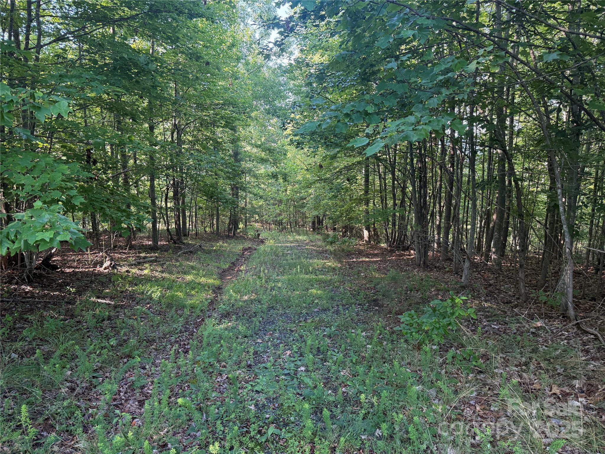 Property Photo: Lot 333 Scenic Vista Drive 333 NC 28761