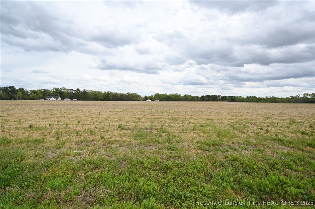 Property Photo: 95 Mamie Road NC 27504