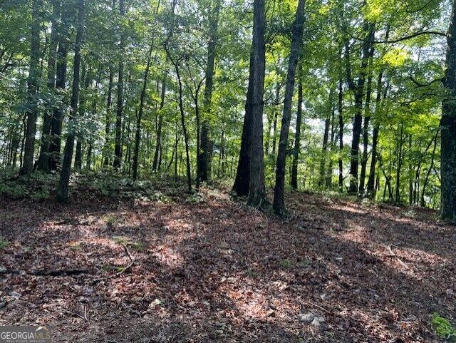 Property Photo: Tr10 - 4.64 Acr Wendy Hill Road GA 30175