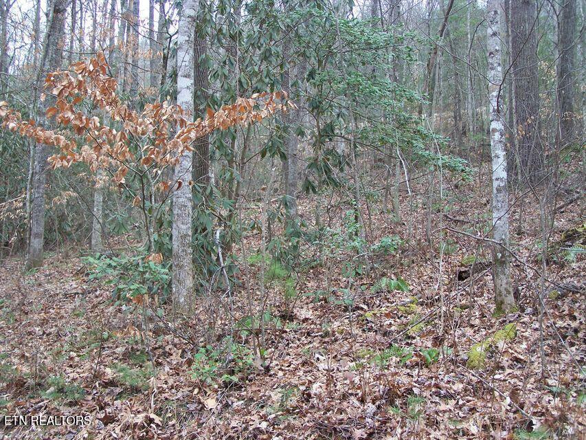 Property Photo: 483 Chetola Trail TN 37882
