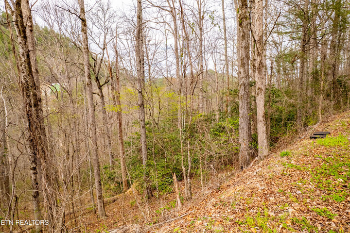Property Photo:  483 Chetola Trail  TN 37882 