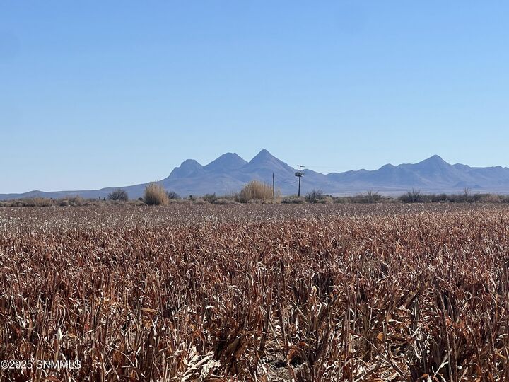 990 SW New Frontier Drive  Deming NM 88030 photo