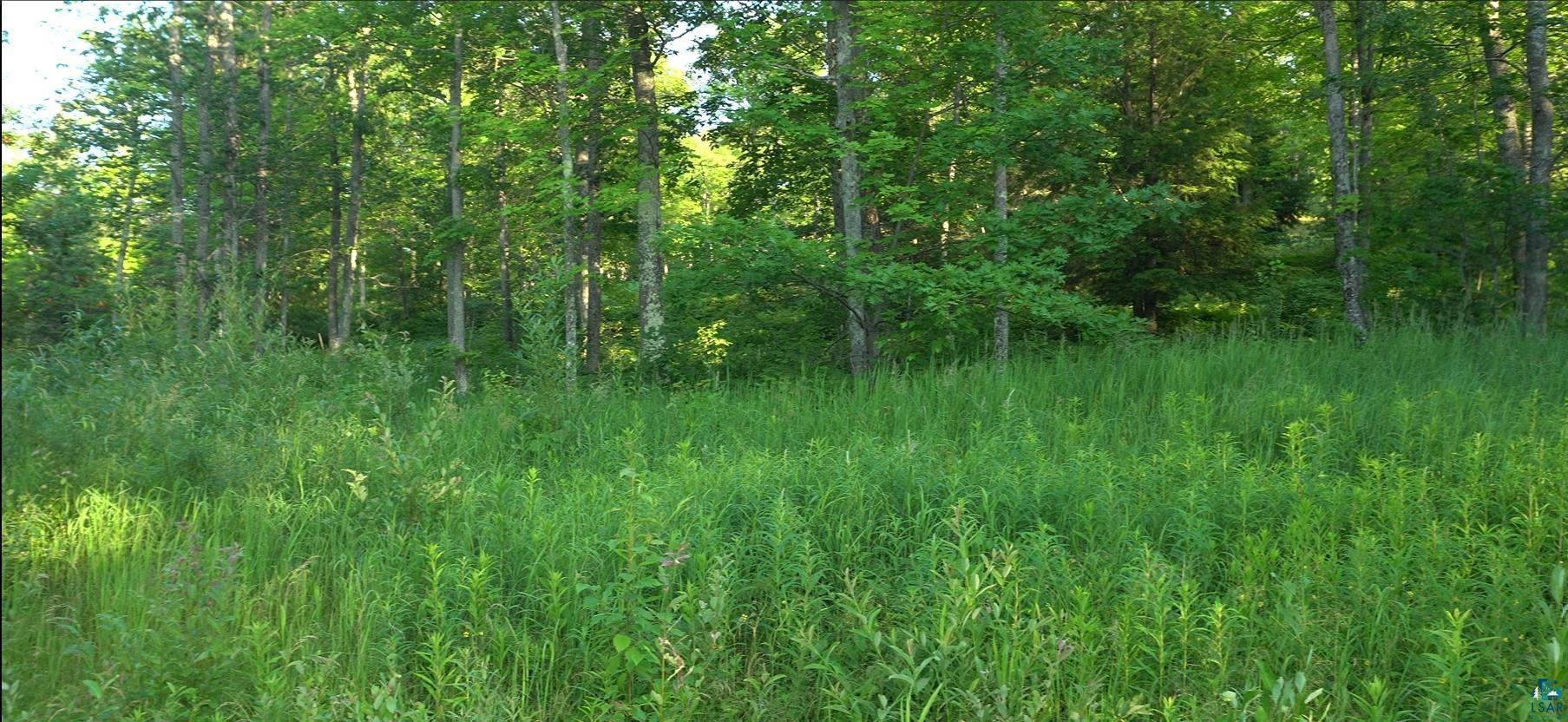 Property Photo: 83xxx Ashwabay Heights Rd Lot 7 WI 54814