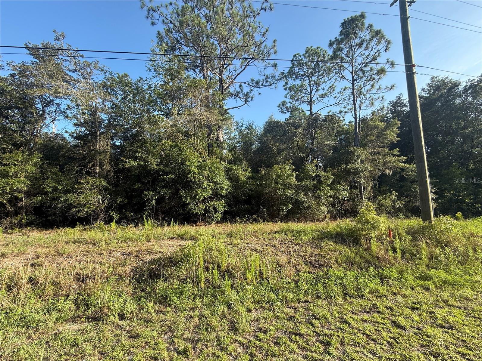 Property Photo: SW Sea Cliff Avenue FL 34431