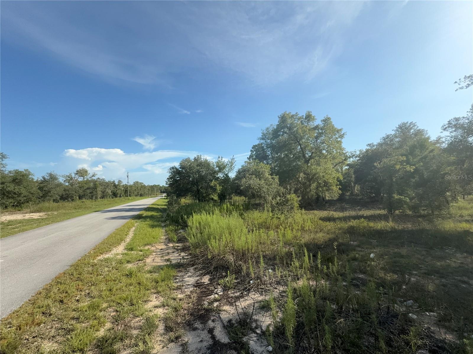 Property Photo: SW Big Bear Ridge FL 34431