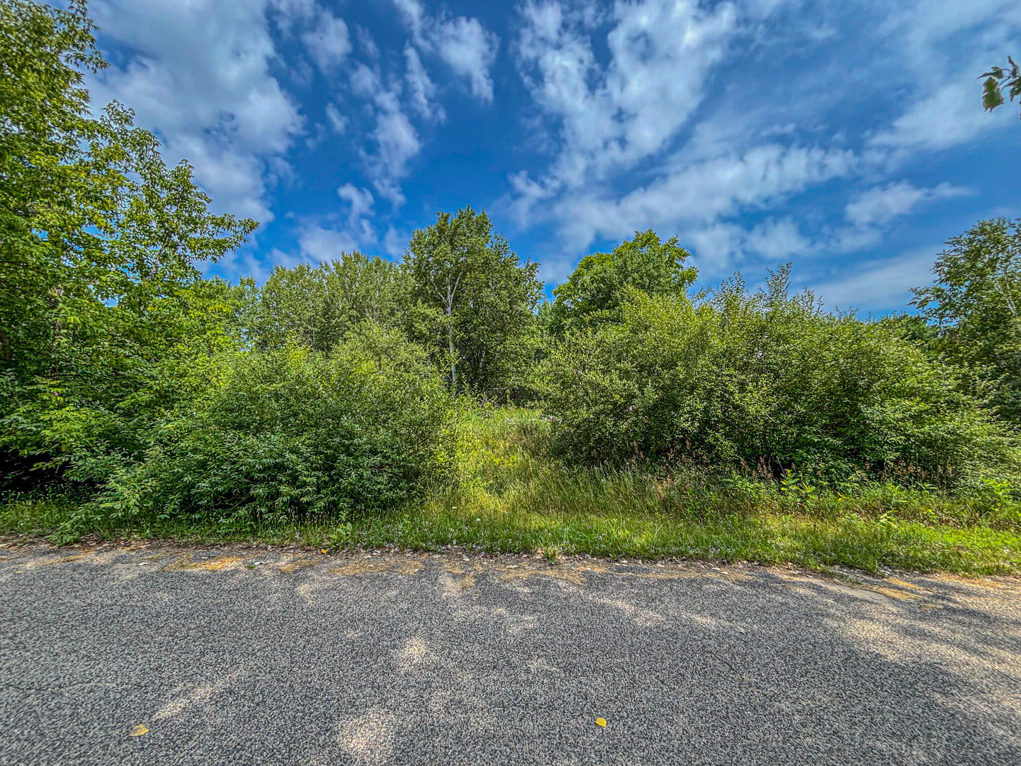 Property Photo: 11580 Tanglewood Trail S. #24 MI 49346