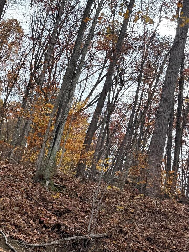 0 Bent Mountain Road  Lerona WV 25971 photo