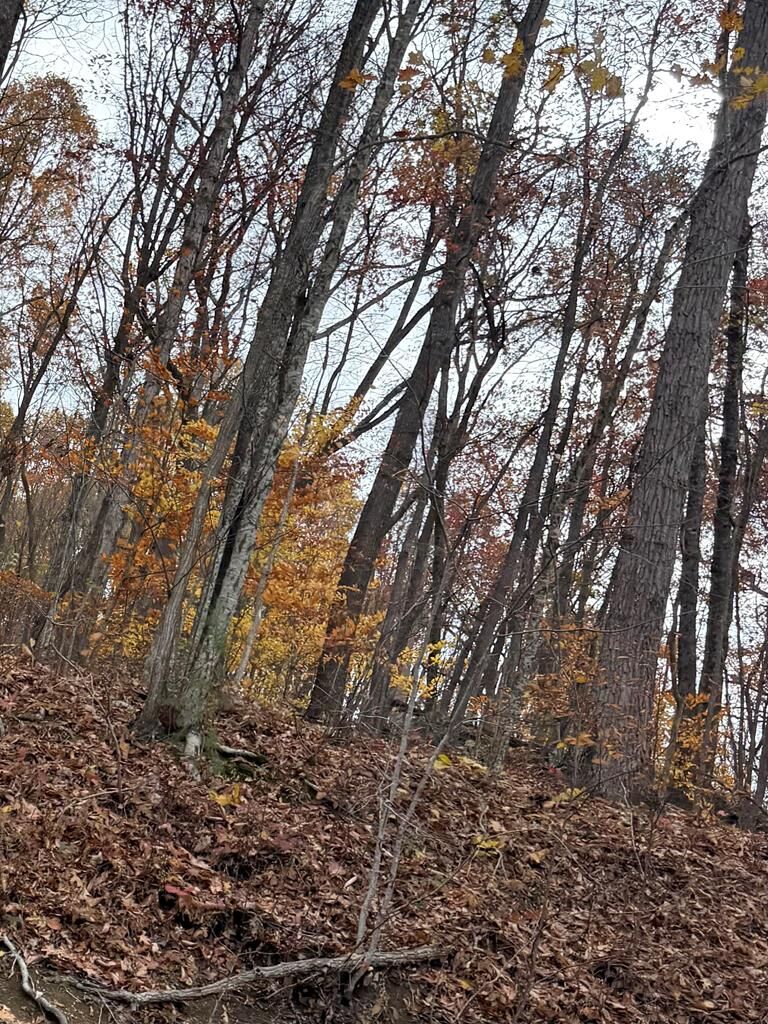 Property Photo:  0 Bent Mountain Road  WV 25971 