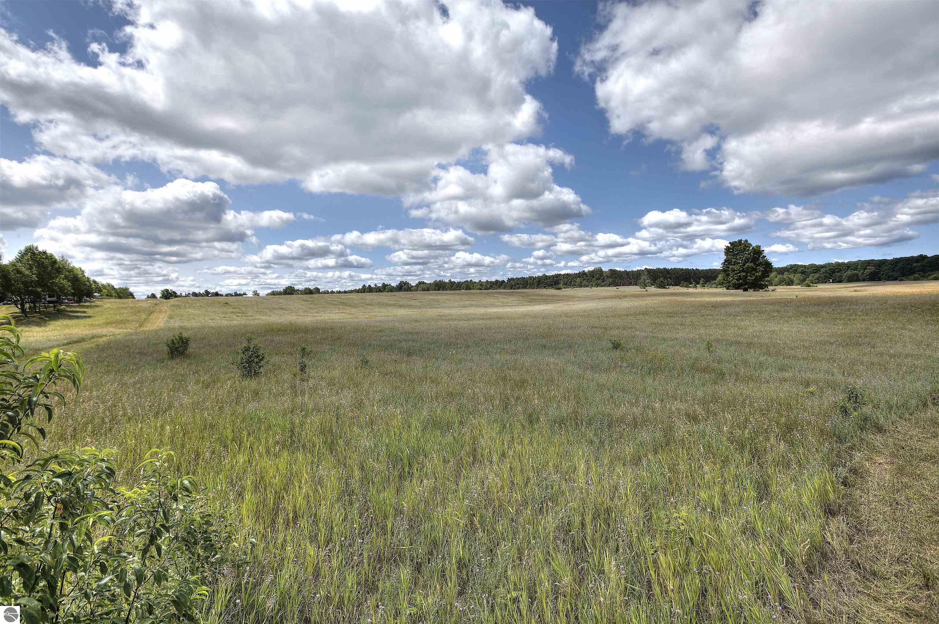 Property Photo:  0000 Honor Highway  MI 49643 