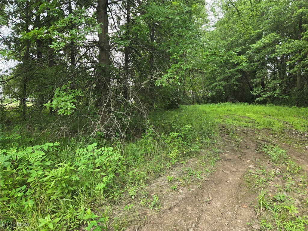 Property Photo: Vl Parsons Road OH 44044