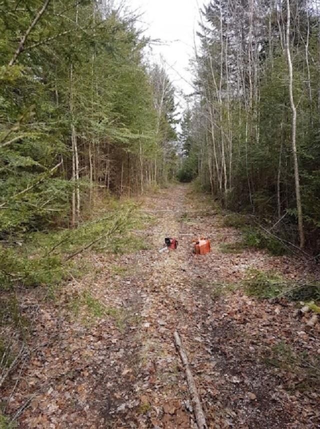 Property Photo:  Lots Old North Range Road  NS B0W 3T0 