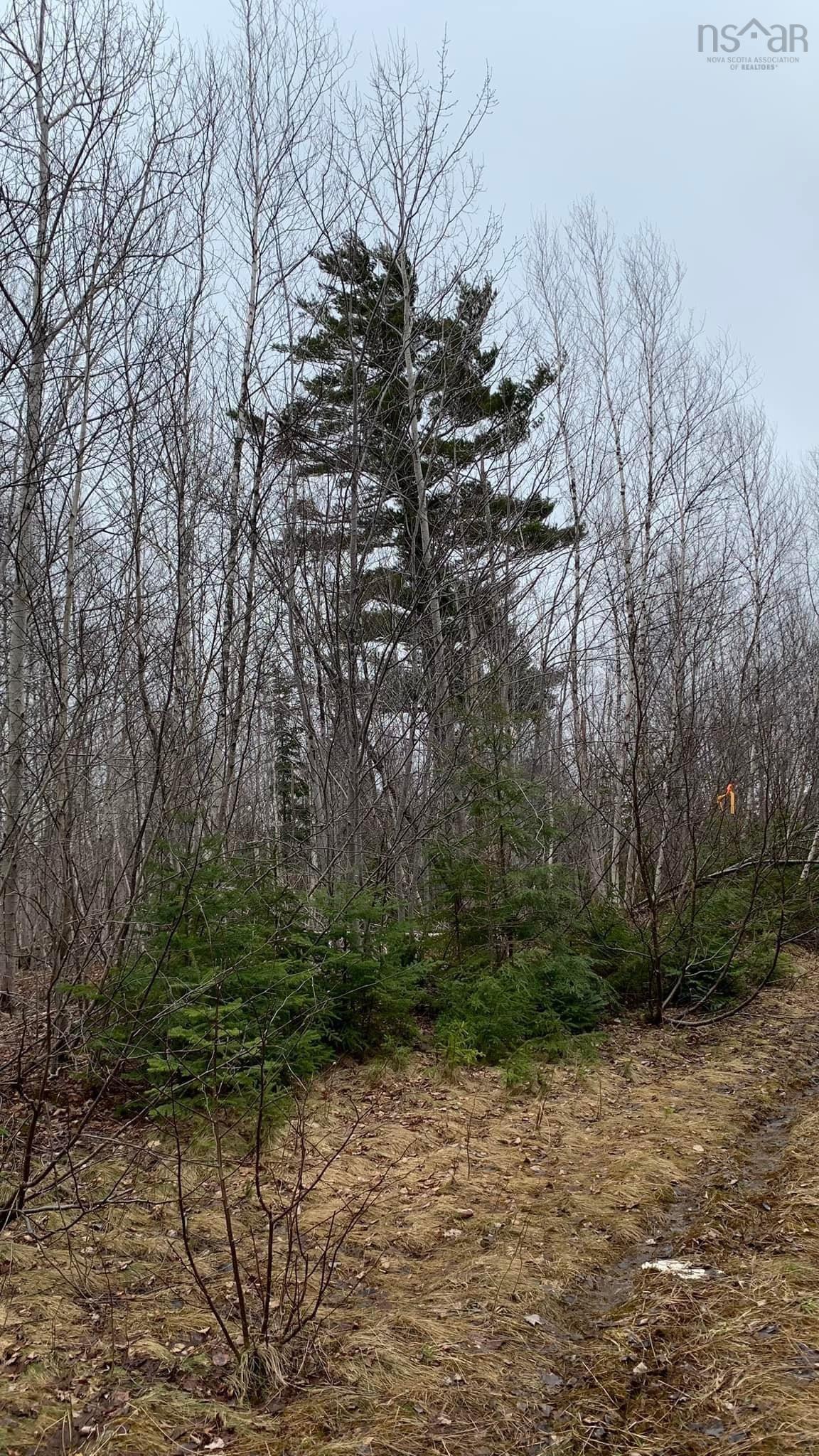 Property Photo:  Lot 24-2 Little Harbour Road  NS B2H 3T5 