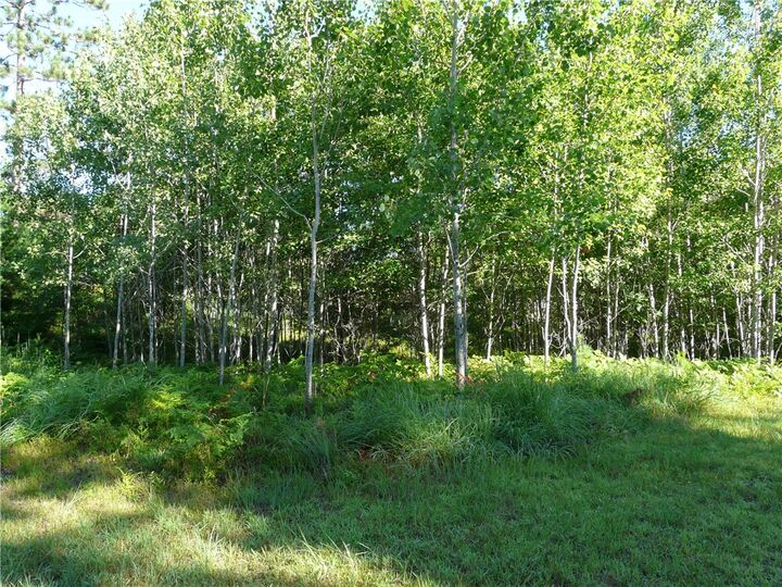 Property Photo: Tbd Treasure Island Drive WI 54830