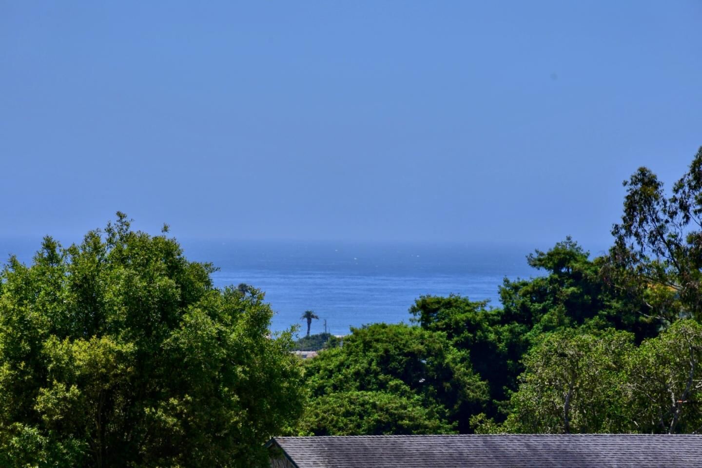 Property Photo:  136 Aptos Village Way 1  CA 95003 