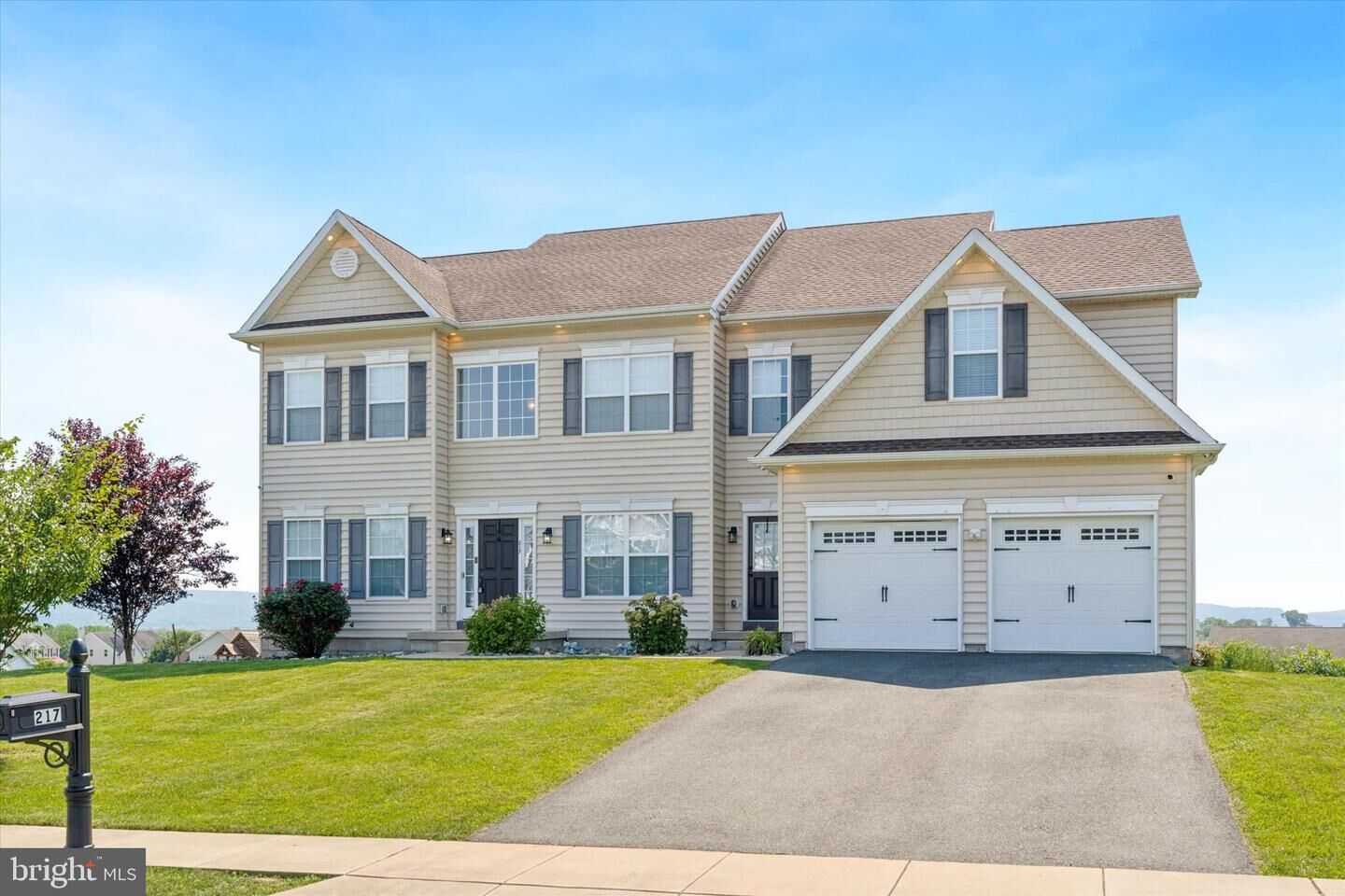 Property Photo:  217 Woodbrook Drive  PA 19518 
