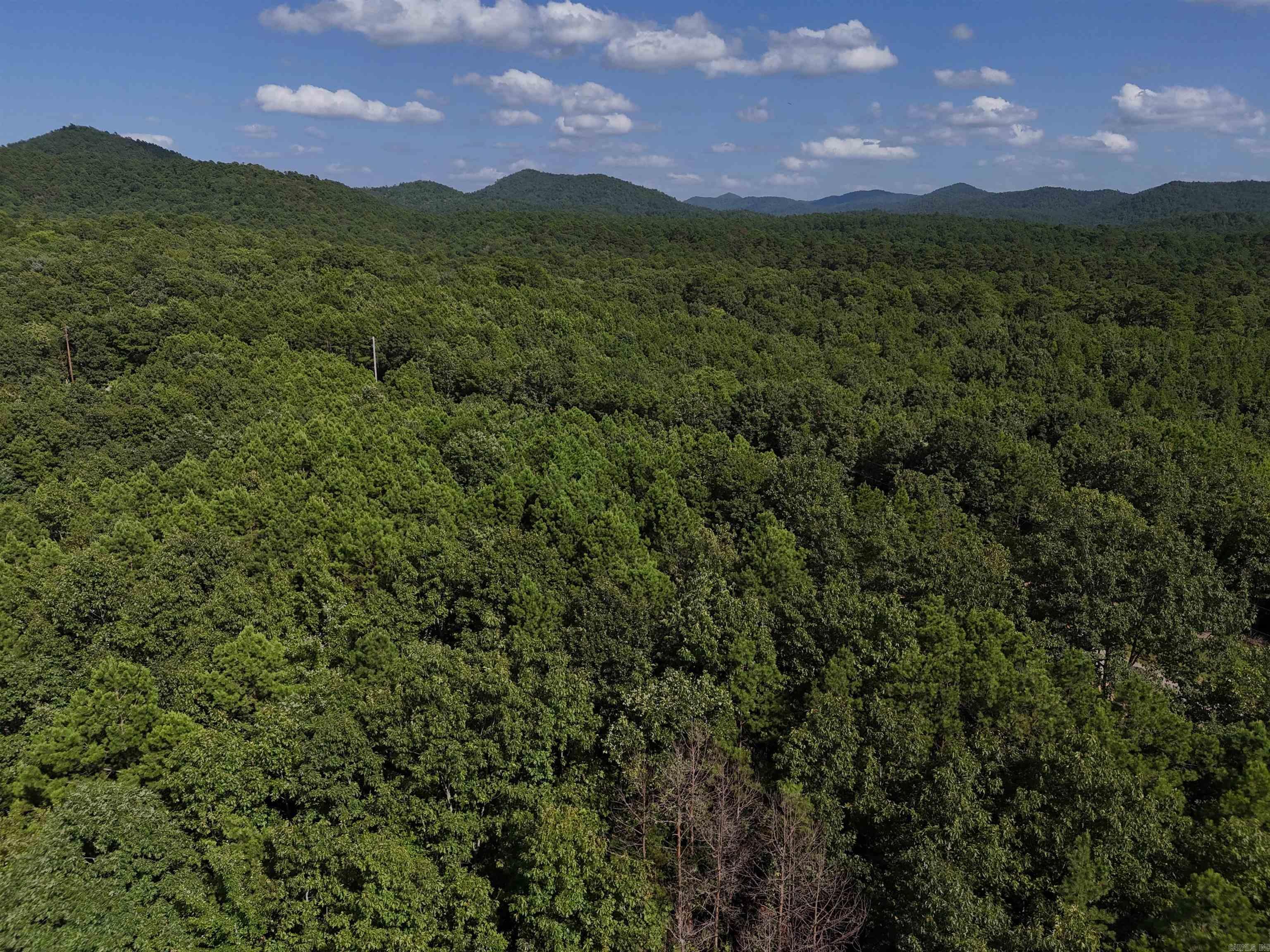 Property Photo:  Lot 11 Polk Road 78  AR 71953 