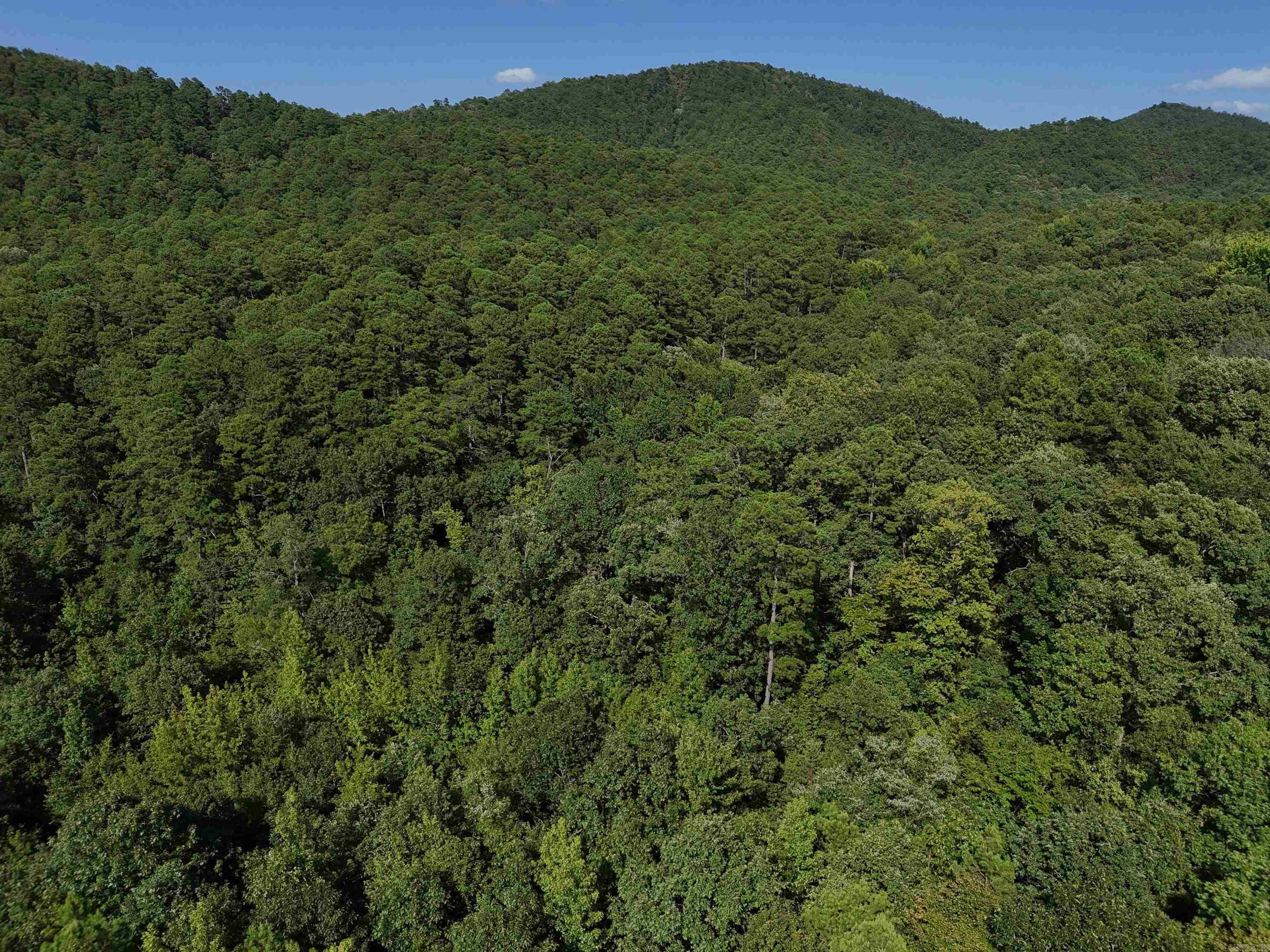 Property Photo:  Lot 13 Polk Road 78  AR 71953 