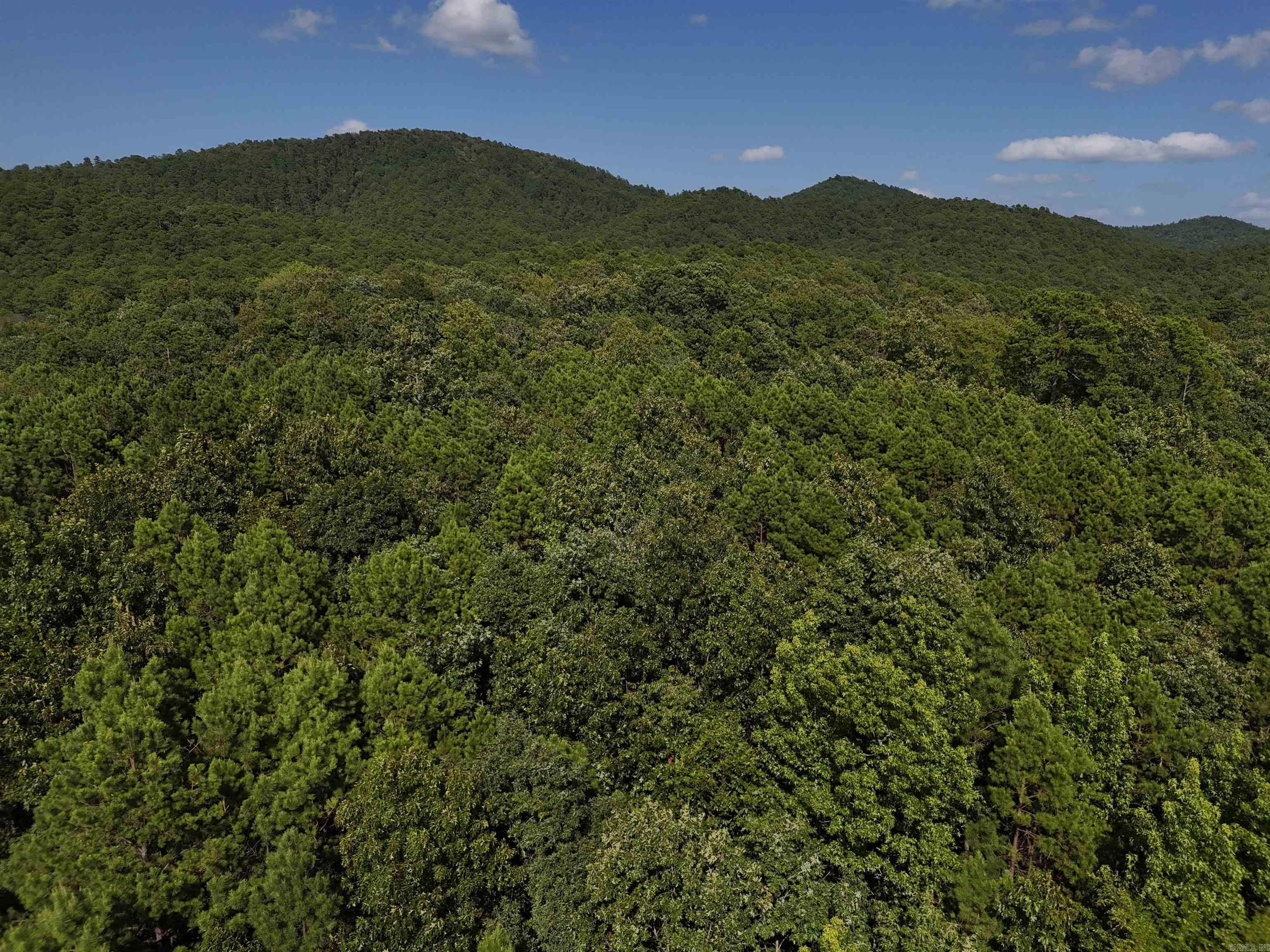 Property Photo:  Lot 8 Polk Road 78  AR 71953 