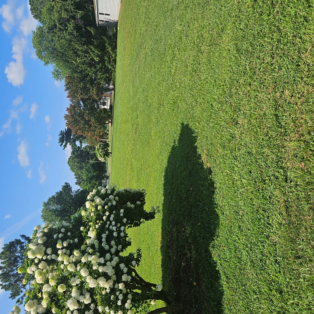 Property Photo: Lot 18 Sturgis St VA 23417