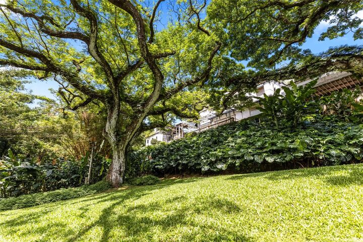 Property Photo:  187 Dowsett Avenue  HI 96817 