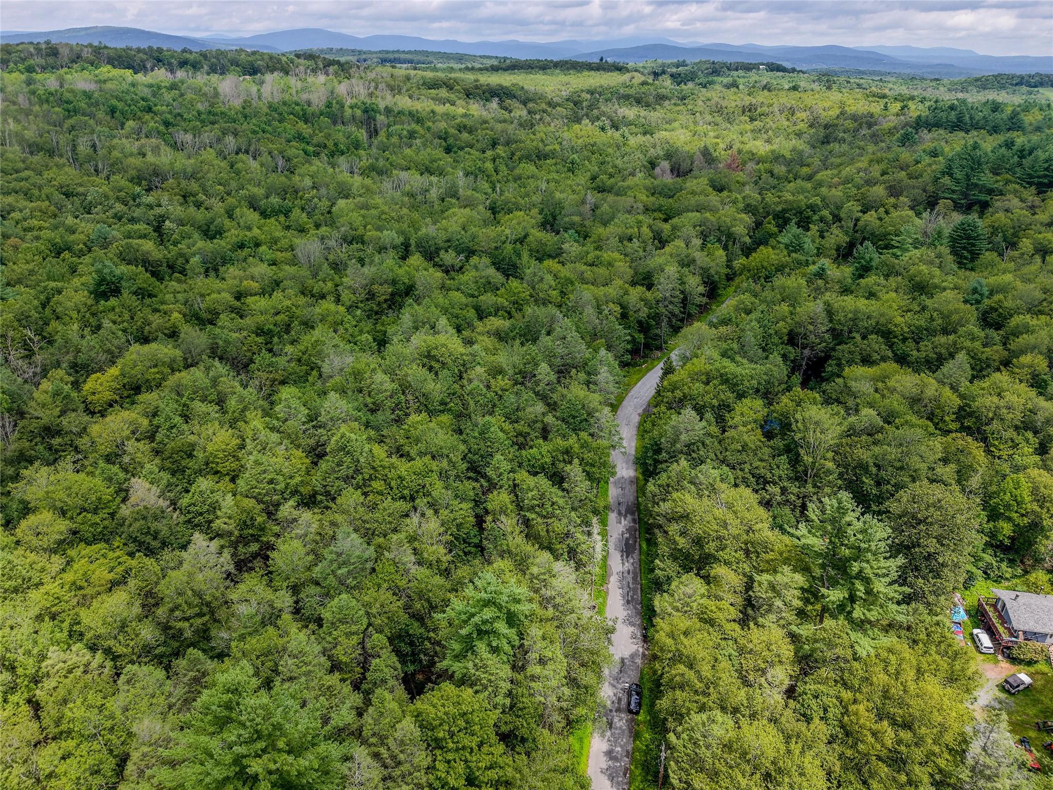 Property Photo: Leins Road NY 12733