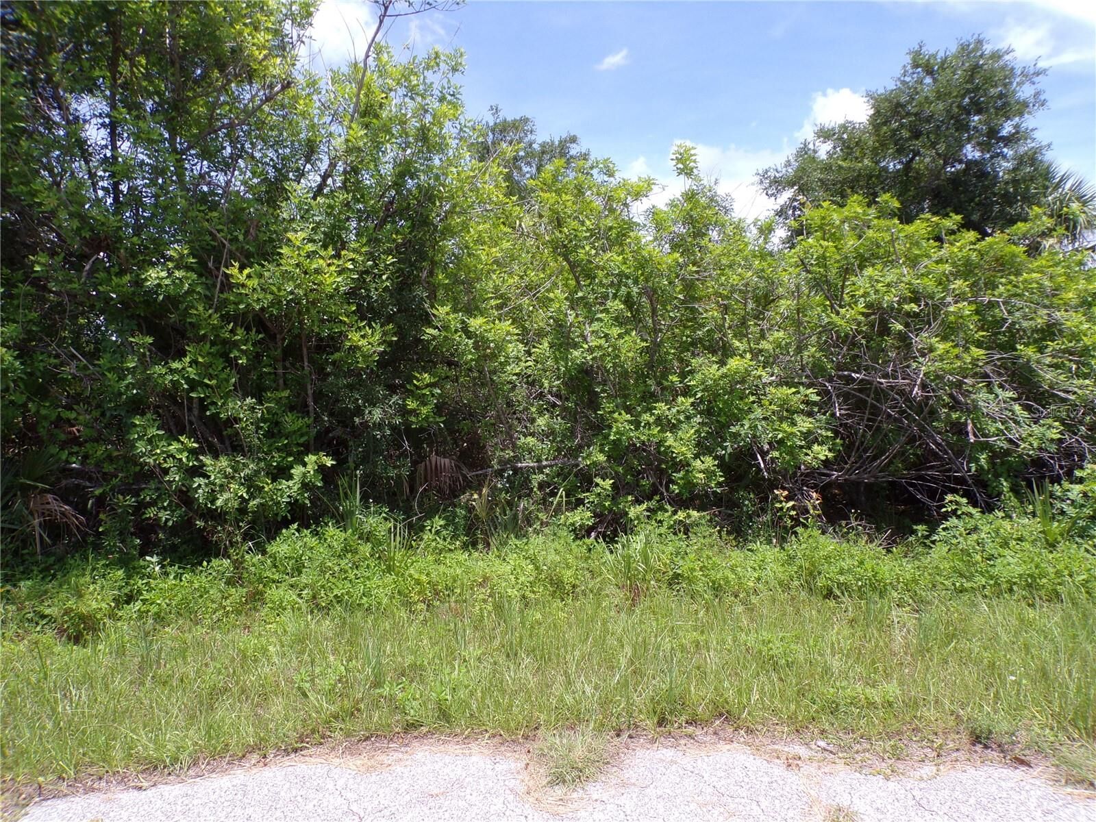 Property Photo: 7248 Cassidy Court FL 33981
