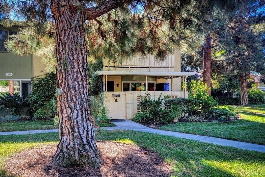 Property Photo:  185 Avenida Majorca  CA 92637 