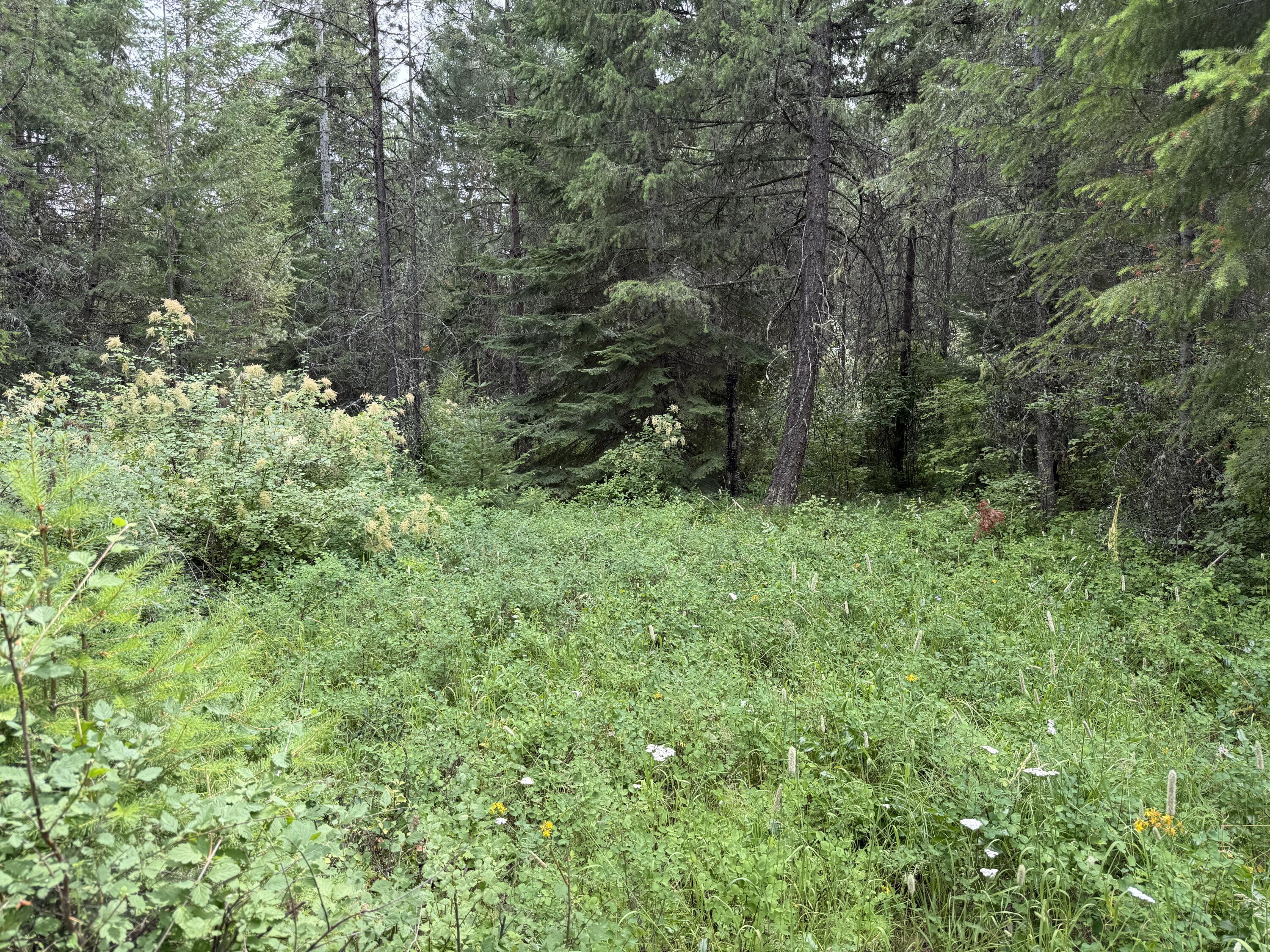 Property Photo: Lot 2 Springdale-Hunters Rd WA 99173