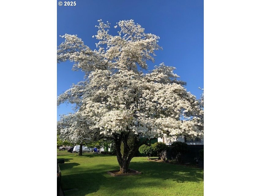 Property Photo: 2146 SE 185th Ave OR 97233