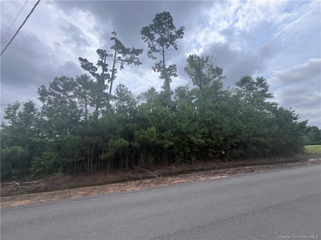 Property Photo:  0 E Forest Road E  LA 70669 