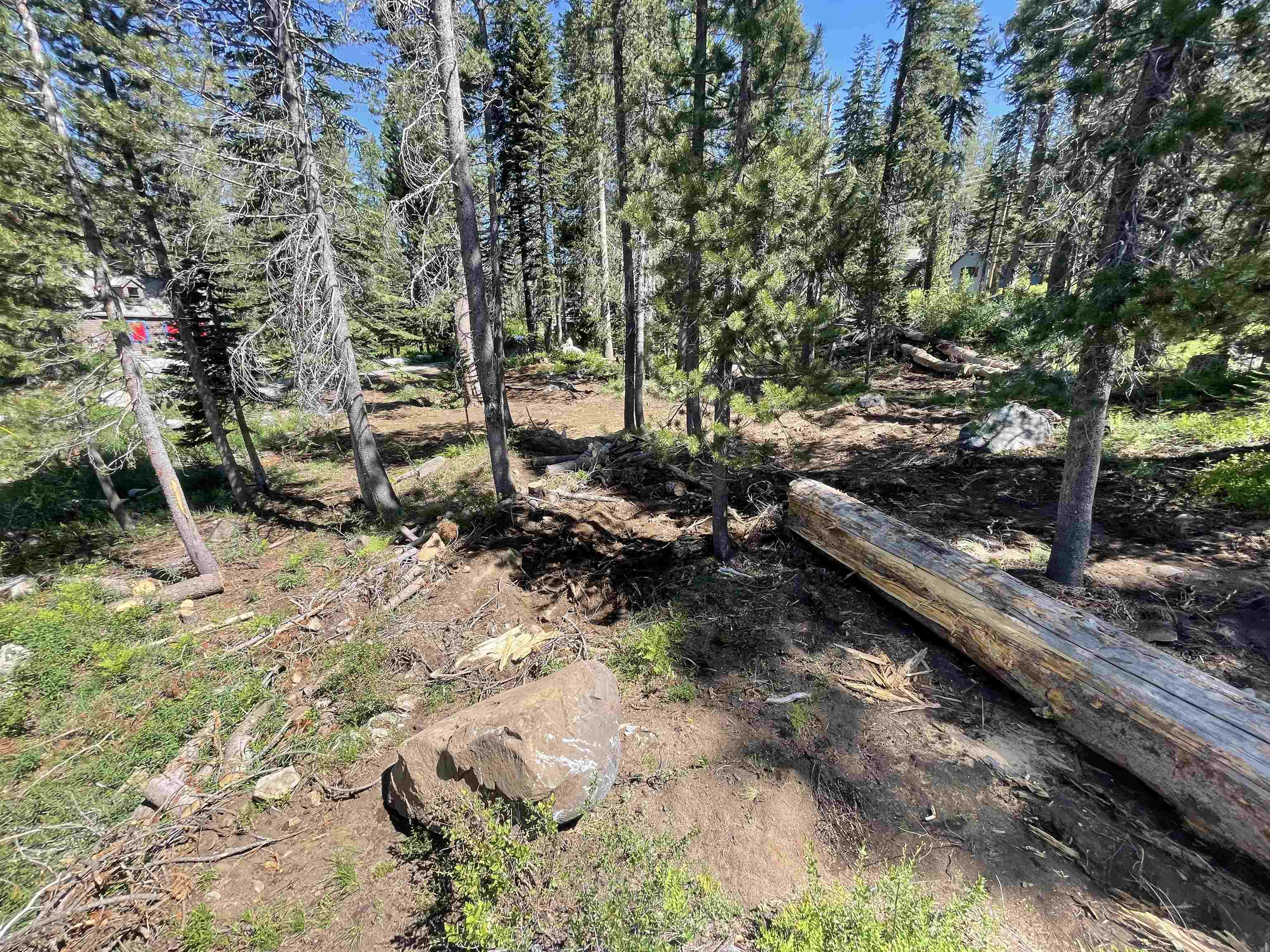 Property Photo: 10053 Hill Road CA 95728