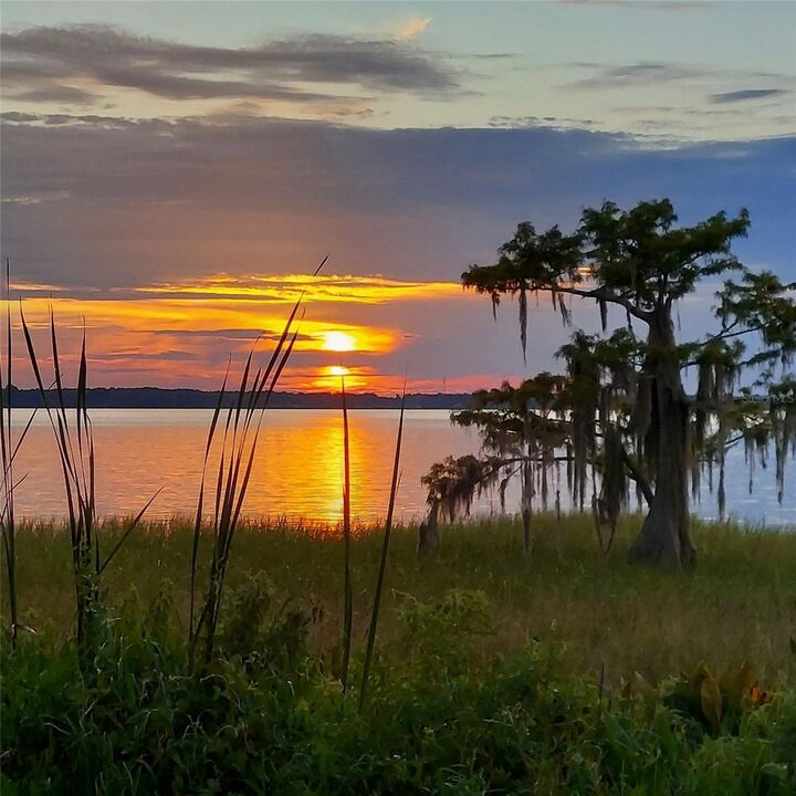 Property Photo:  2212 Cypress Cove Drive H5  FL 32778