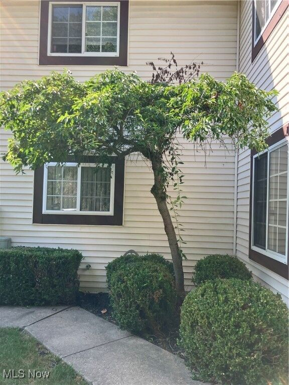 Property Photo:  237 Greenbriar Court  OH 44143 