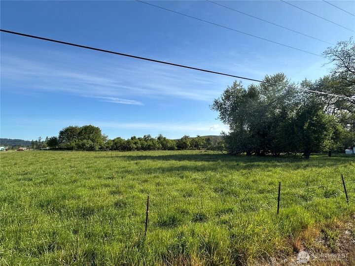 Property Photo:  0  Pe Ell McDonald Road  WA 98532 