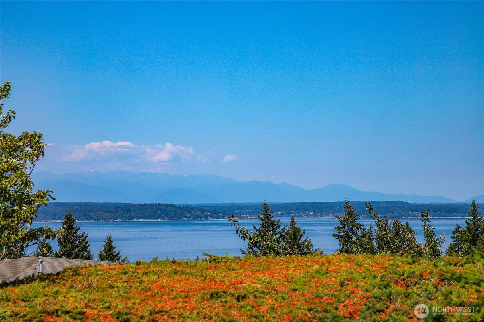 Property Photo:  4033  55th Avenue SW  WA 98116 