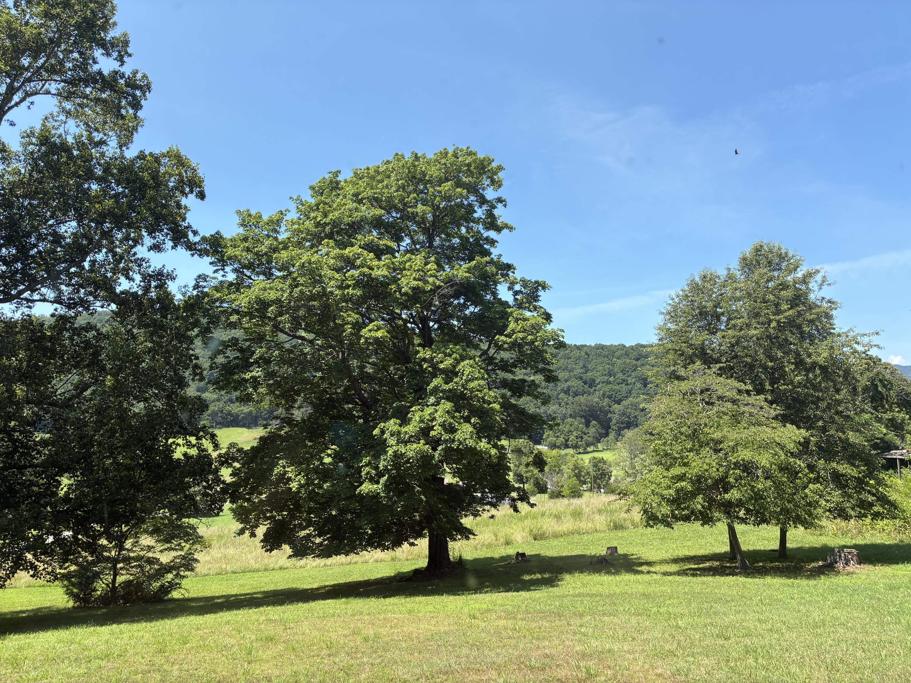 Property Photo:  105 Berry Ridge Rd  VA 24066 