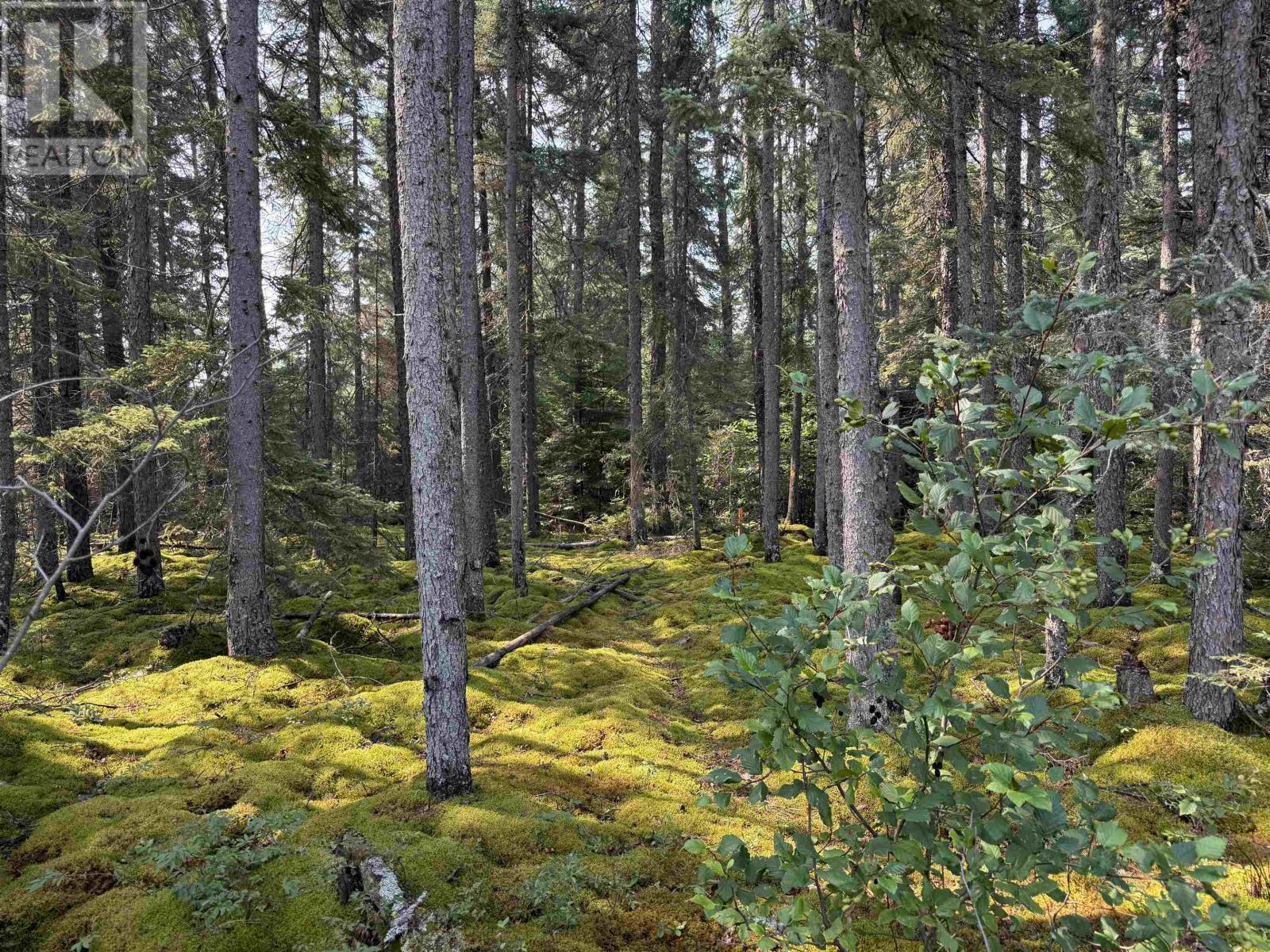 Lot 1 Kinger Road  Kenora ON P9N 0E4 photo